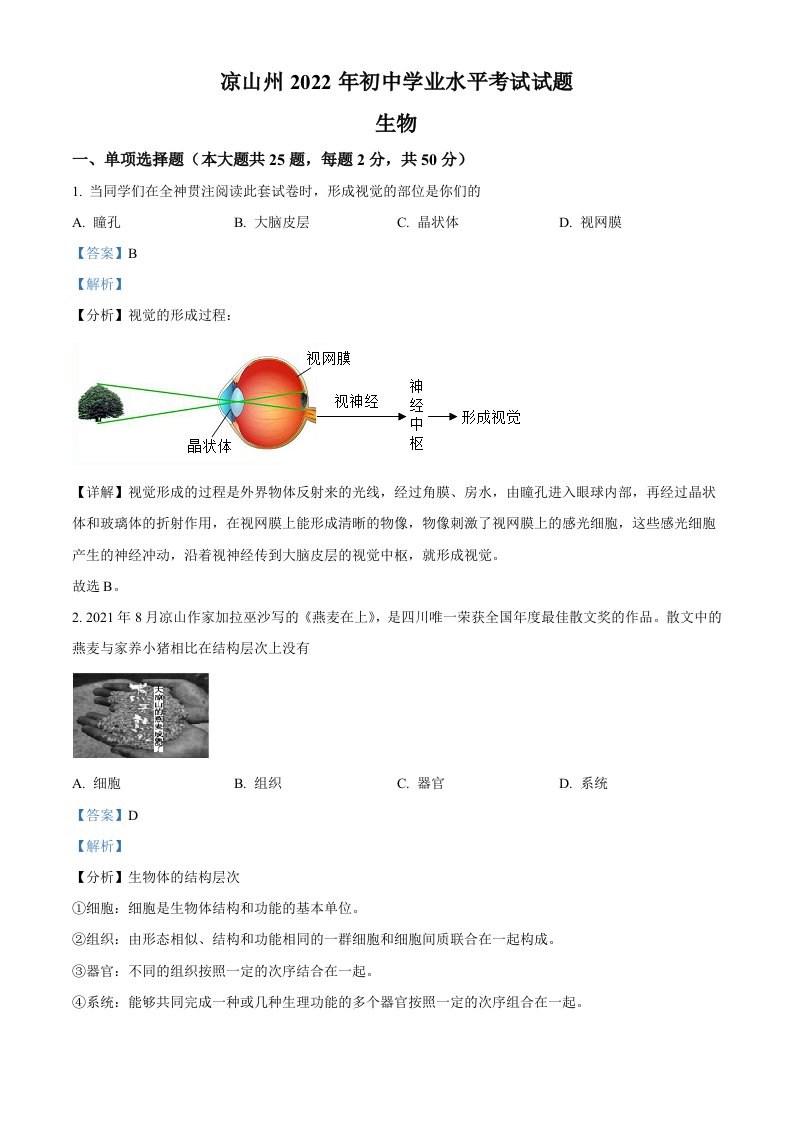 2022年四川省凉山州中考生物真题（含答案）_共25页