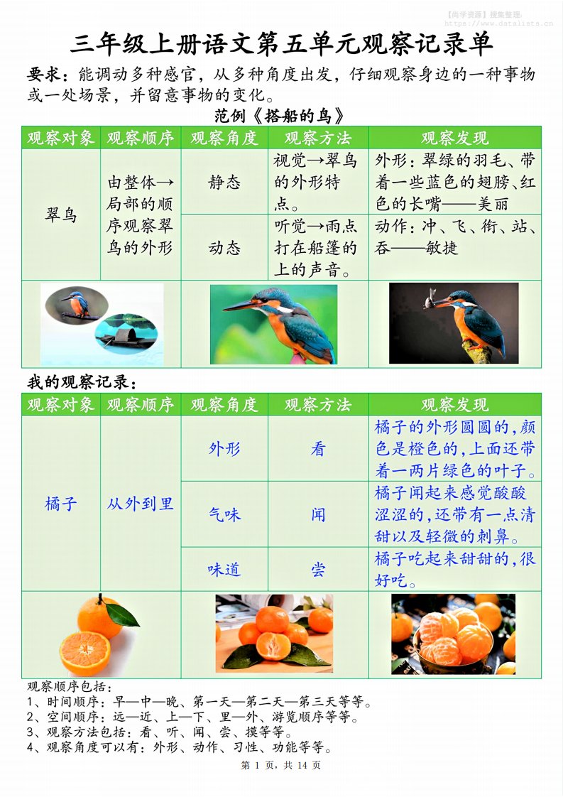 三上语文第五单元观察记录单（空白+答案14页）_共14页